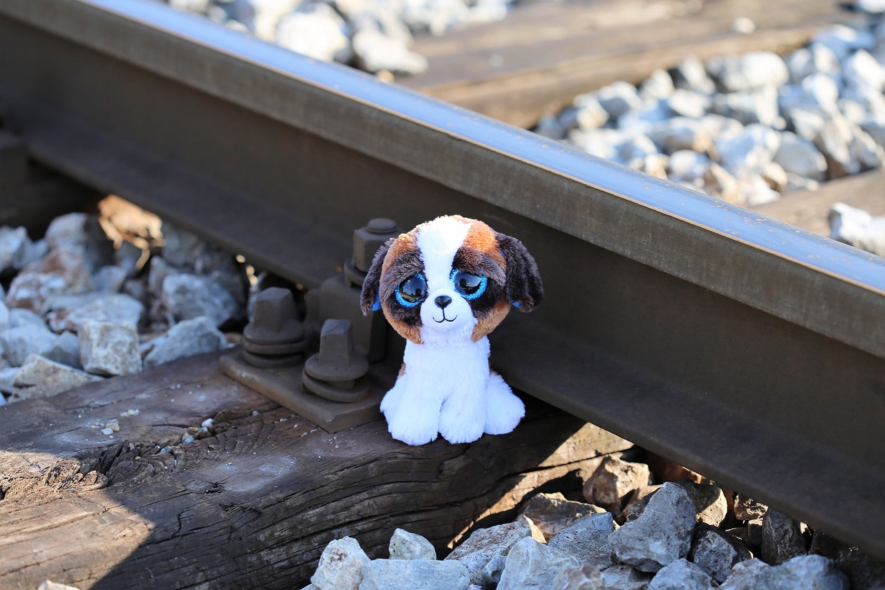 高曉攀的最新動態與成就，持續創新，成就非凡探索之路