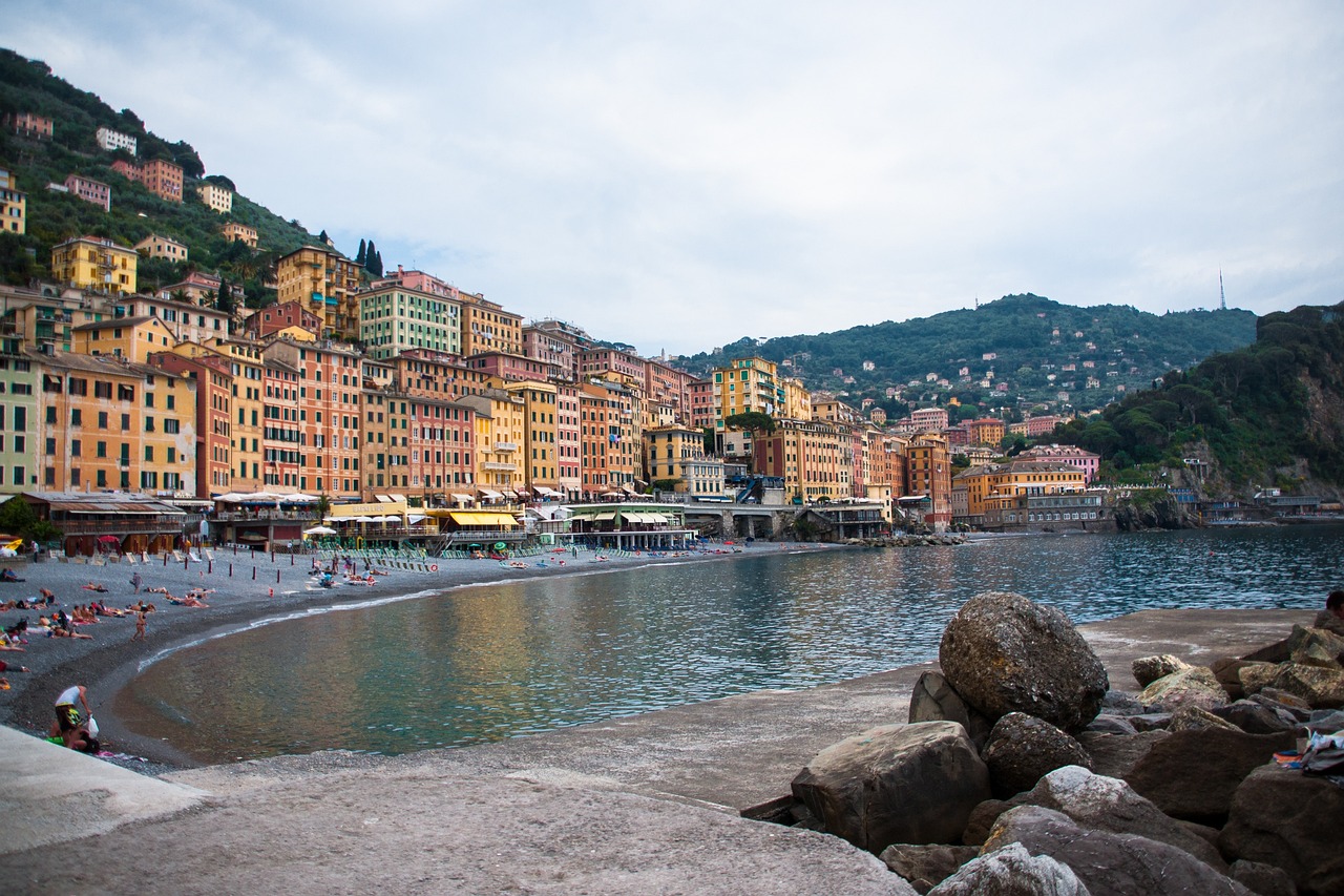 帕卡珠海最新動態及展望