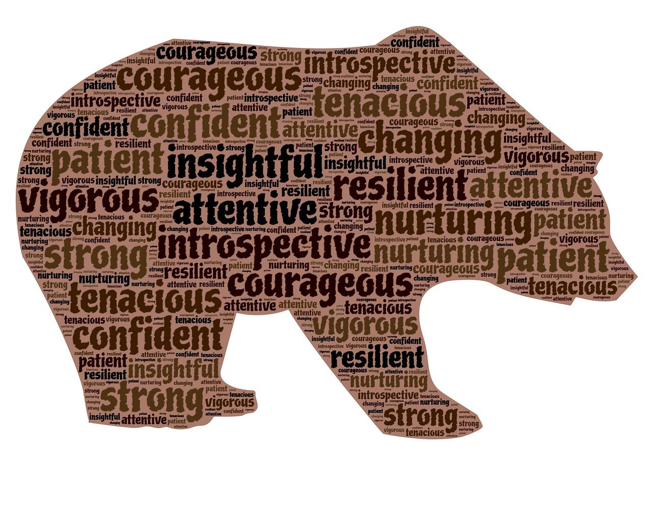 揭秘神秘力量背后的故事,鬼六團最新動態速遞