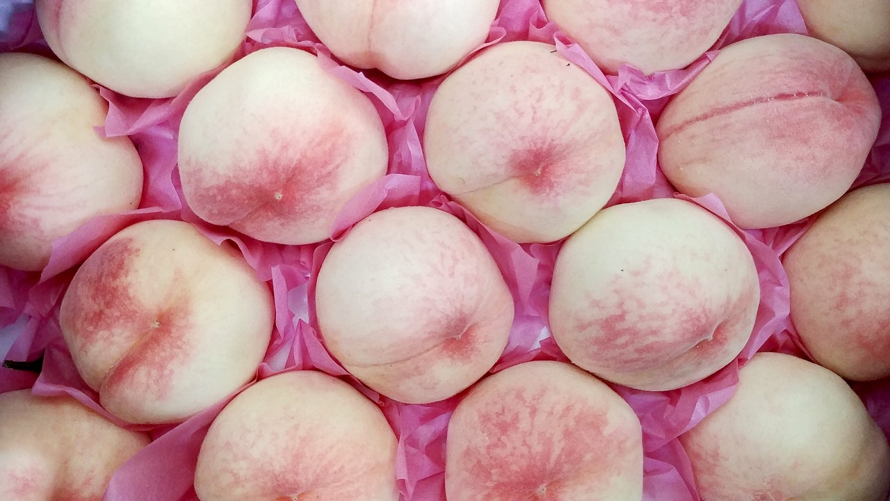 韓國(guó)最新動(dòng)態(tài)，文化與科技的雙重騰飛