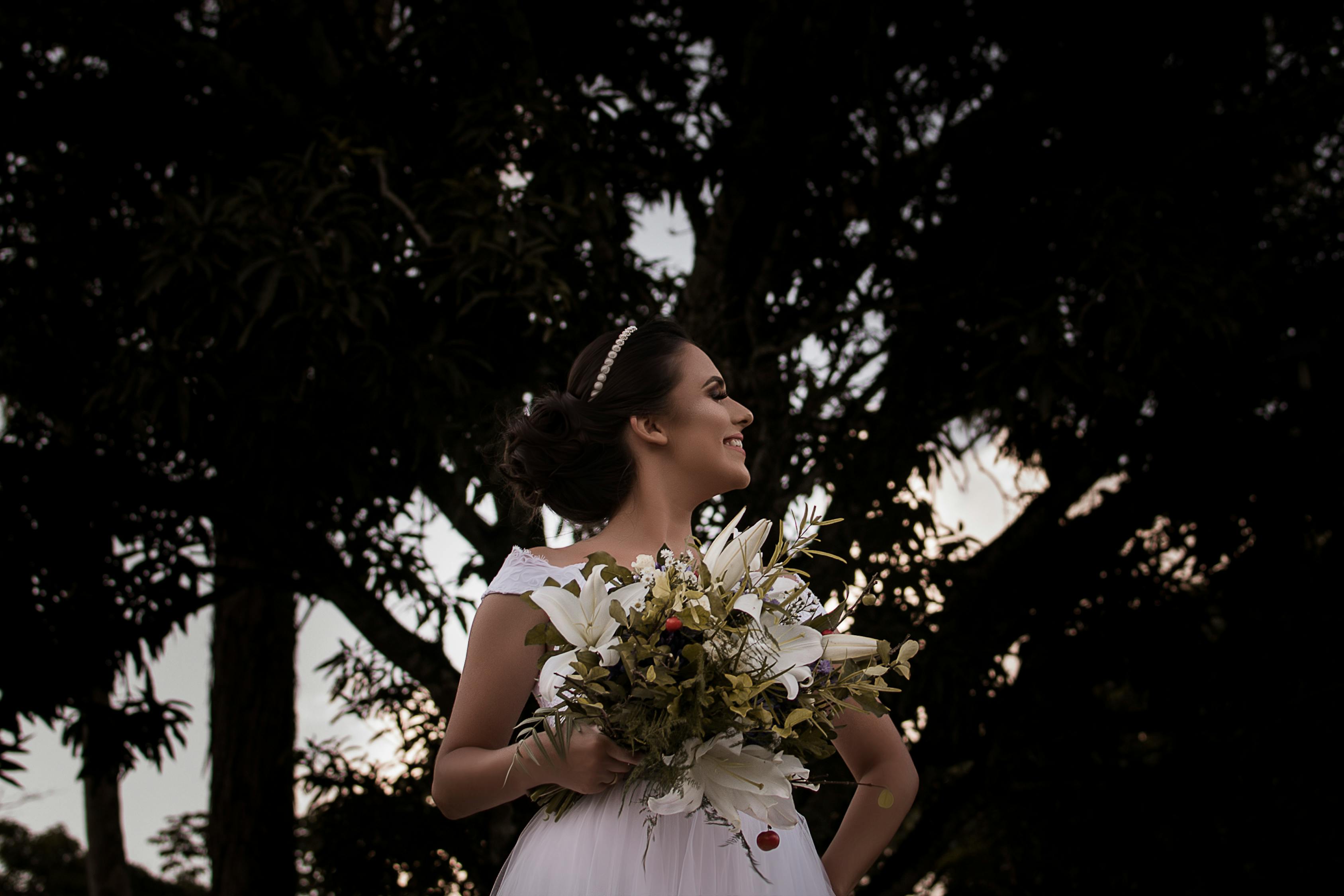 陳情令最新花卉的魅力與背后故事探尋