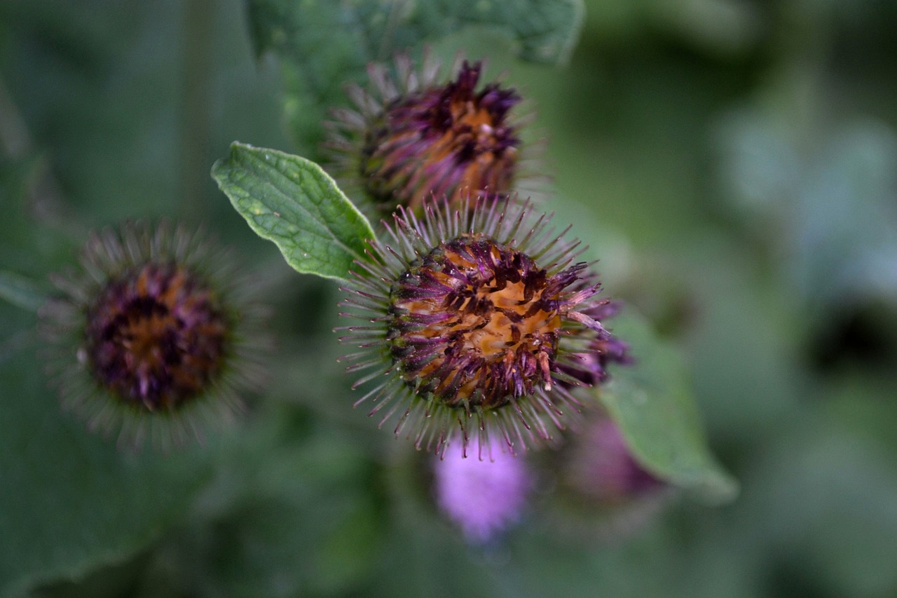 寶安區(qū)最新發(fā)展動(dòng)態(tài)概覽