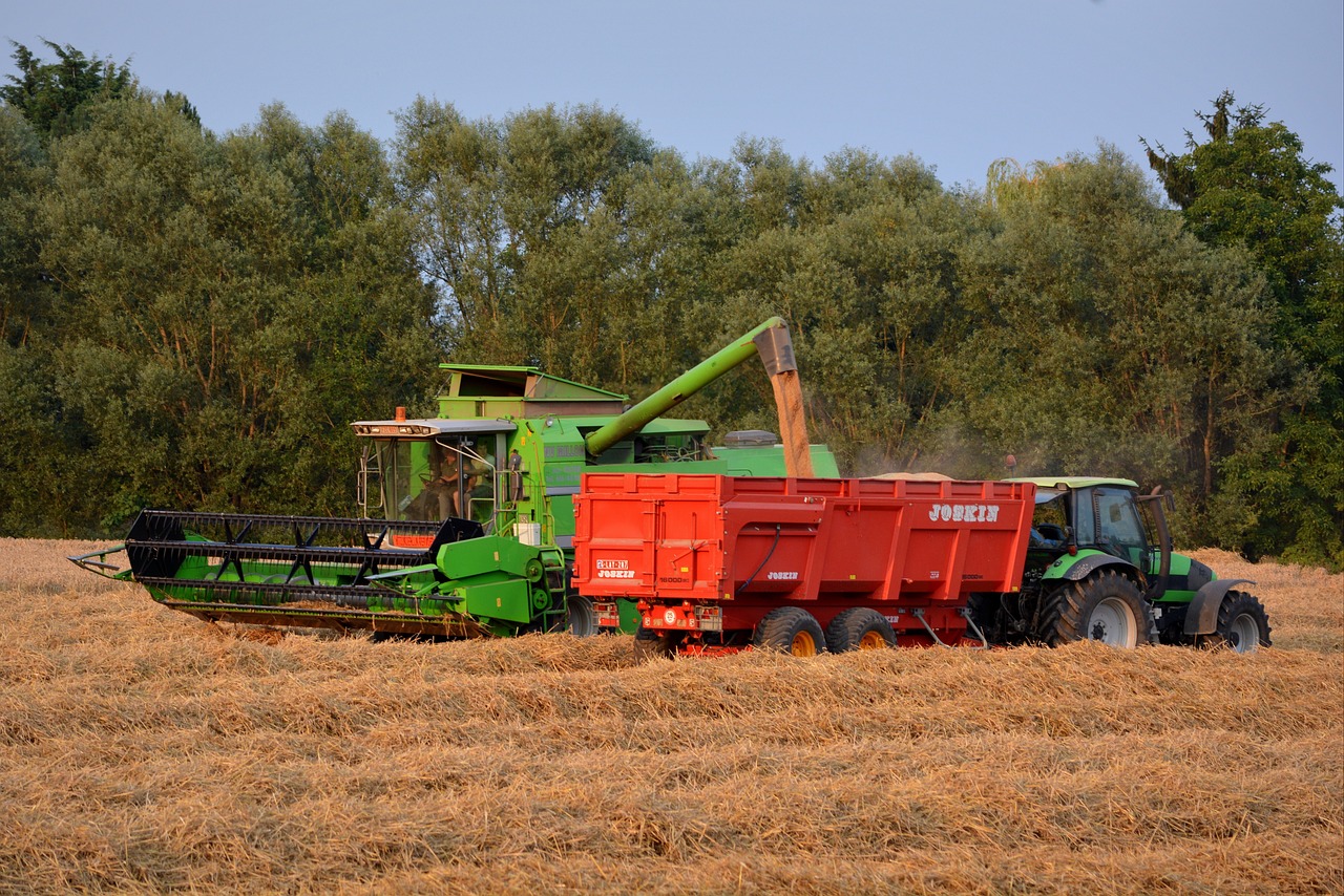 最新農村信息速遞，揭示鄉村發展的新時代風采