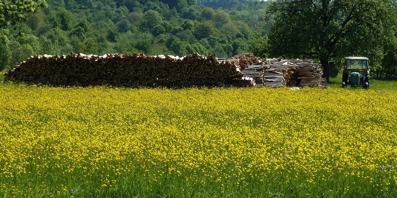 革新農業,最新收稻機助力豐收季