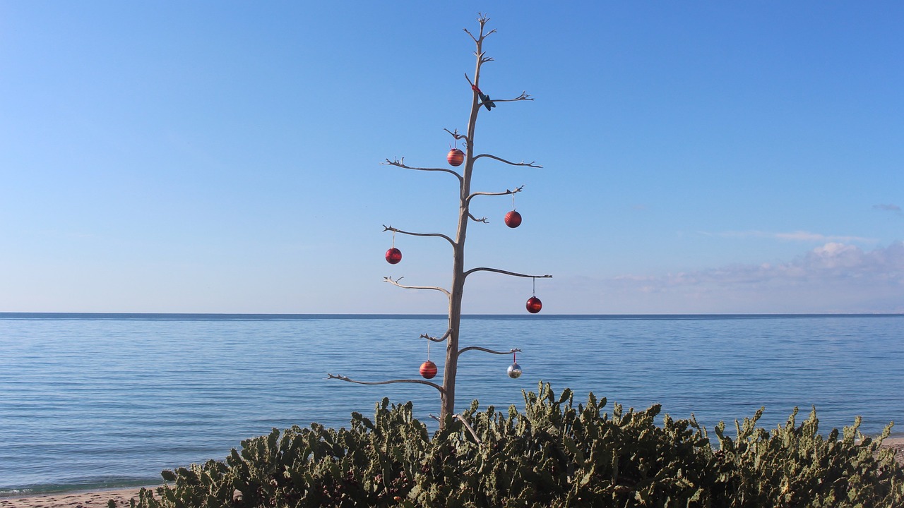 蛋黃派最新動態,創新發展與口味無限探索之旅