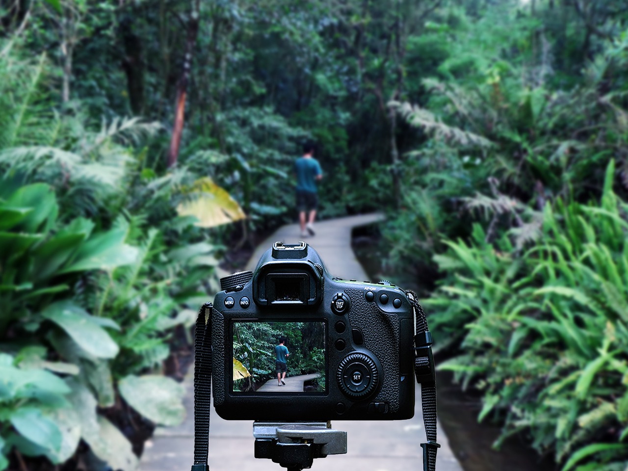 蛋黃派最新動態,創新發展與口味無限探索之旅