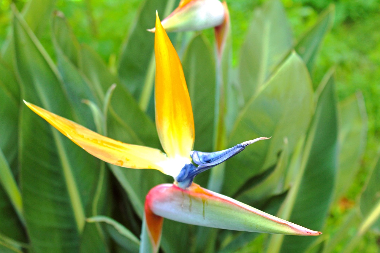 黎家明最新動態與成就概述