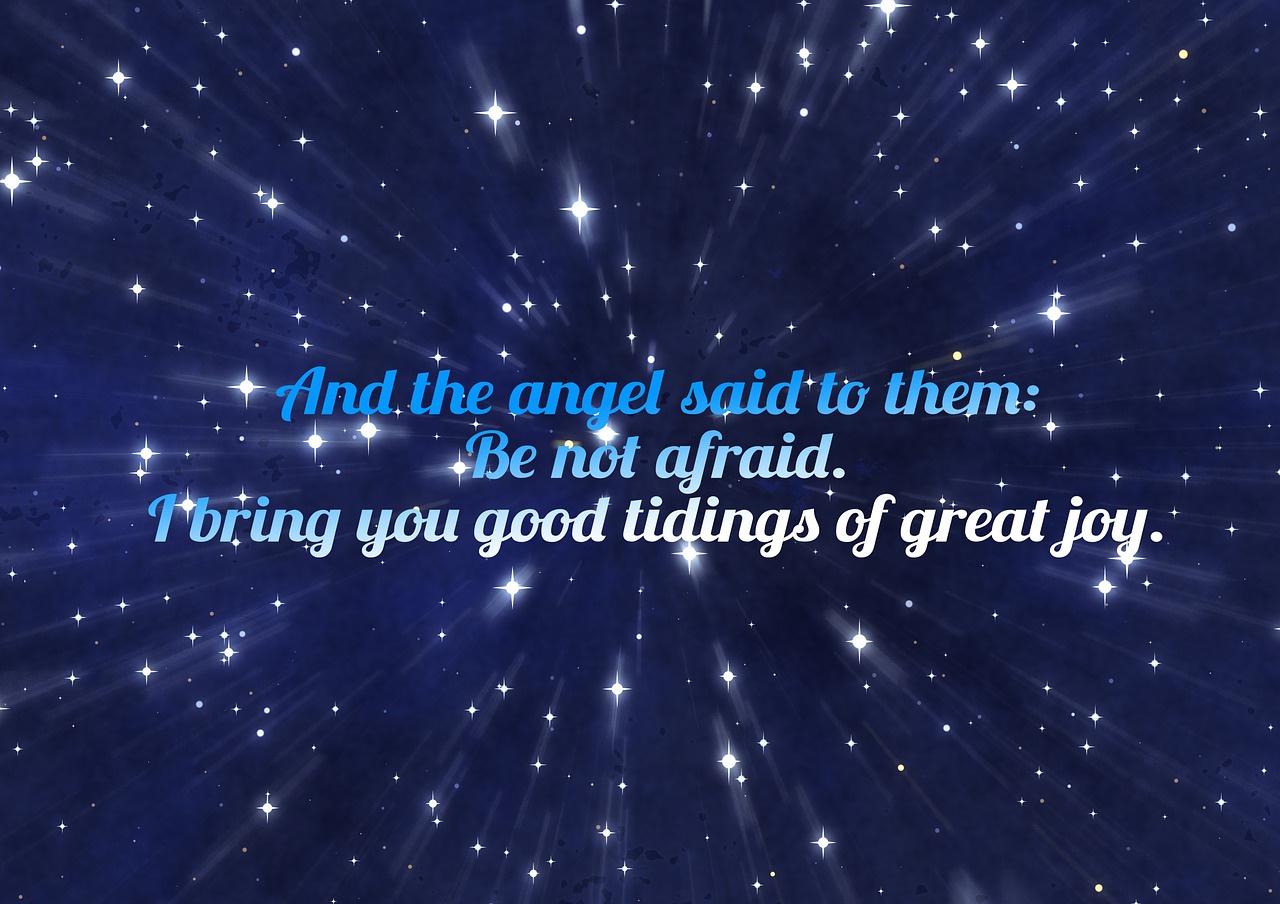 最新泰坦卡魅力與功能深度解析