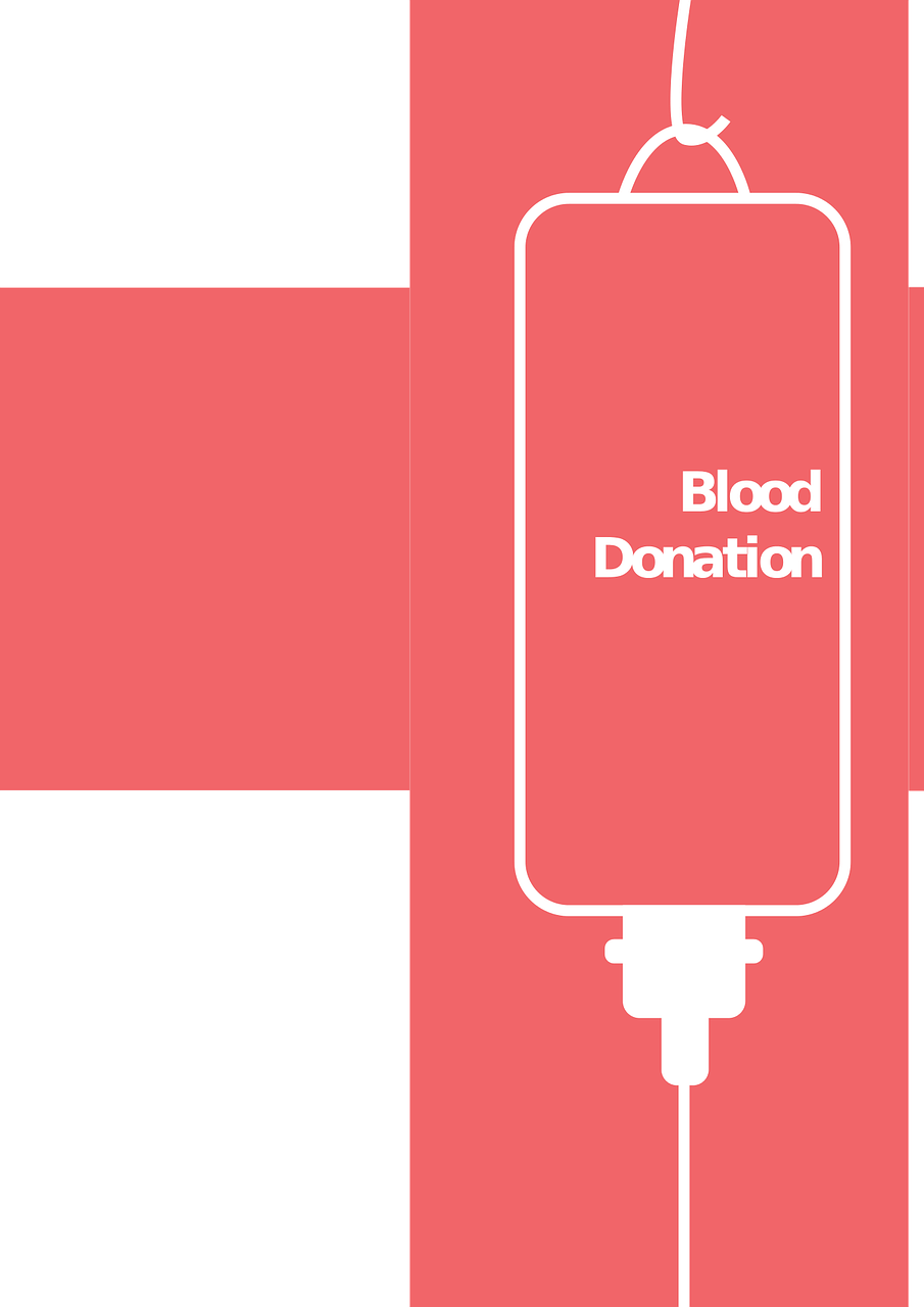 雪后初暖陽 第21頁