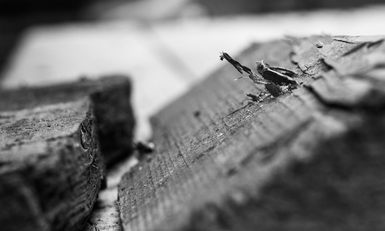 瀝青技術革新與應用發展最新動態