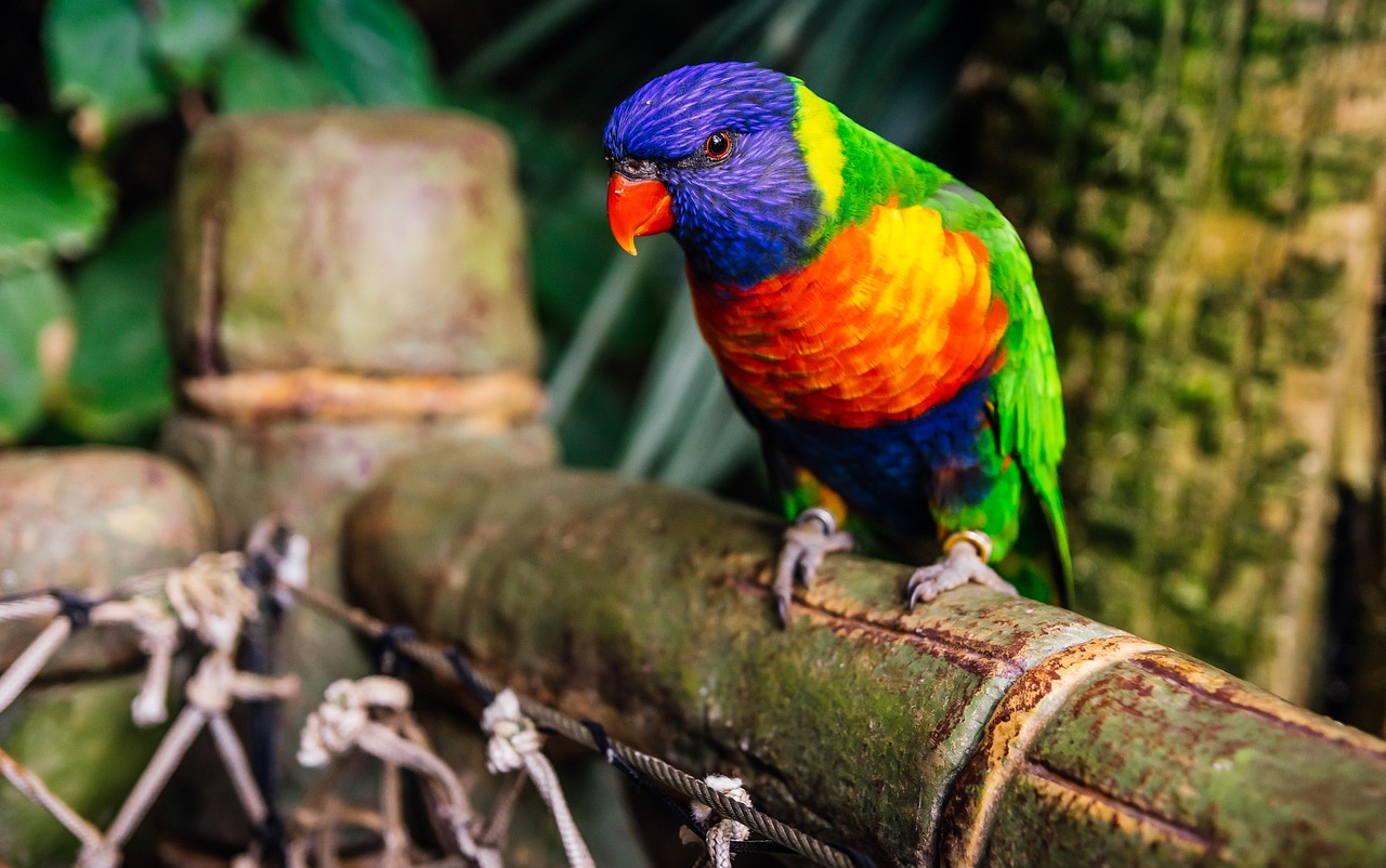 追著太陽跑 第18頁