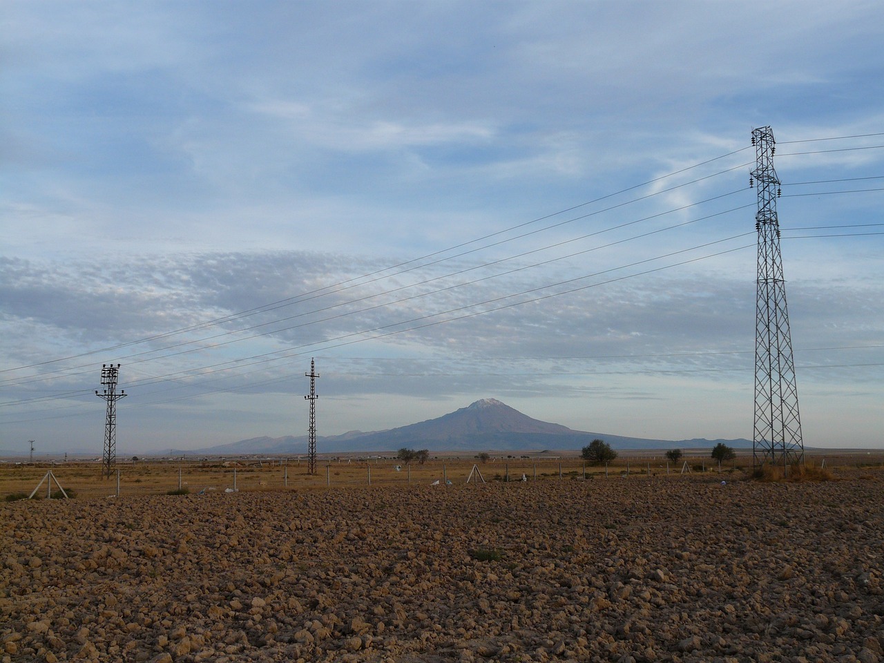 喬東俅的最新動態與成就概覽