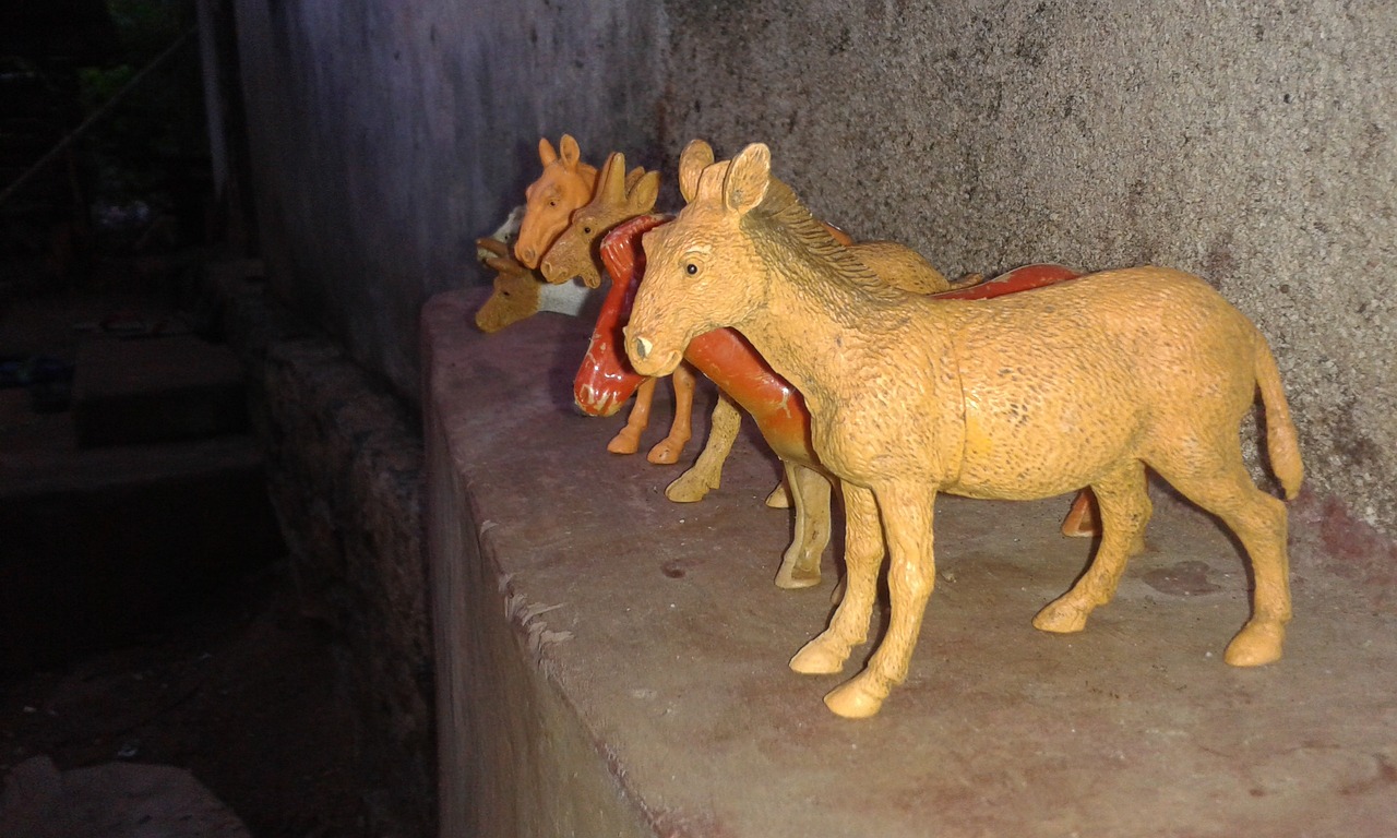 2024新澳門正版精準免費大全:本期推薦雞、羊、馬、蛇