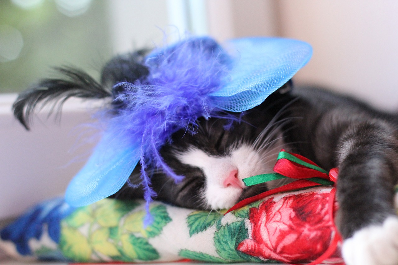 2024新澳正版資料最新更新：本期推薦龍、蛇、豬、猴