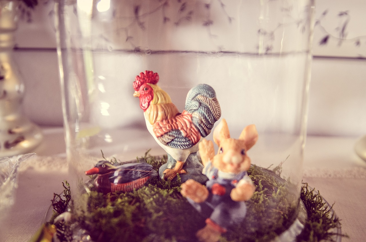 新澳今天晚上9點30分:本期推薦兔、雞、龍、雞