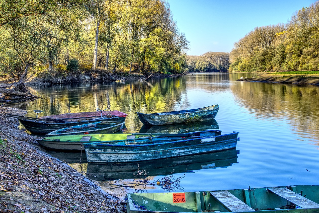 秦二霸的最新動態及其影響概述