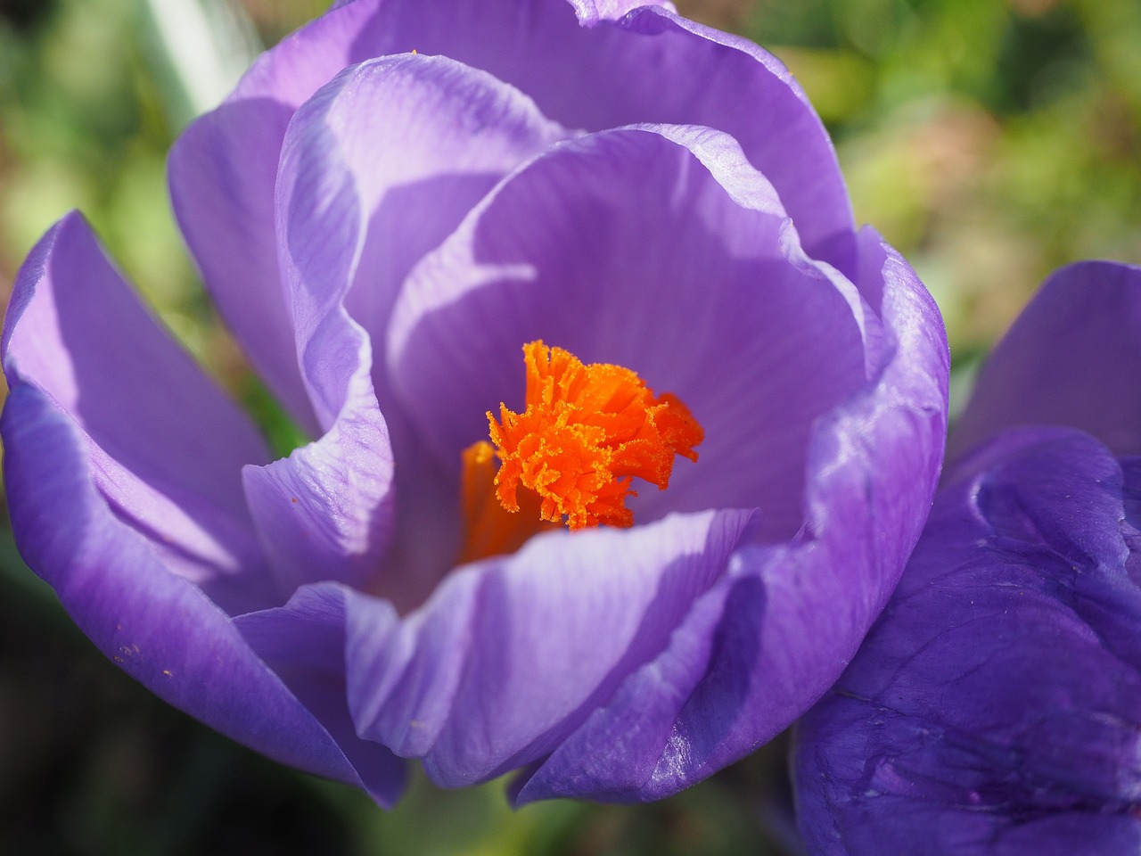 廣化寺最新動(dòng)態(tài)與變遷概覽