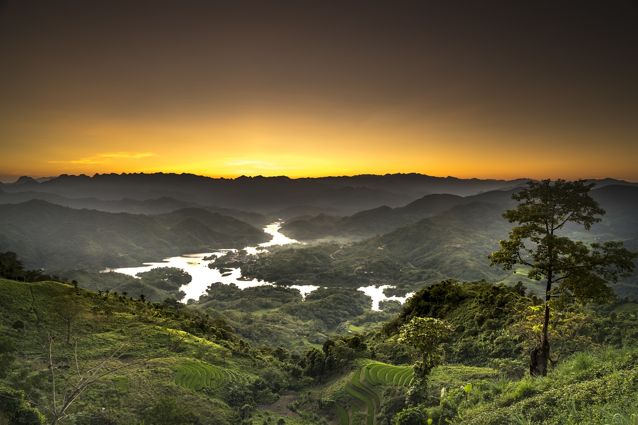 異度侵入最新進(jìn)展，探索未知領(lǐng)域的最新動(dòng)態(tài)