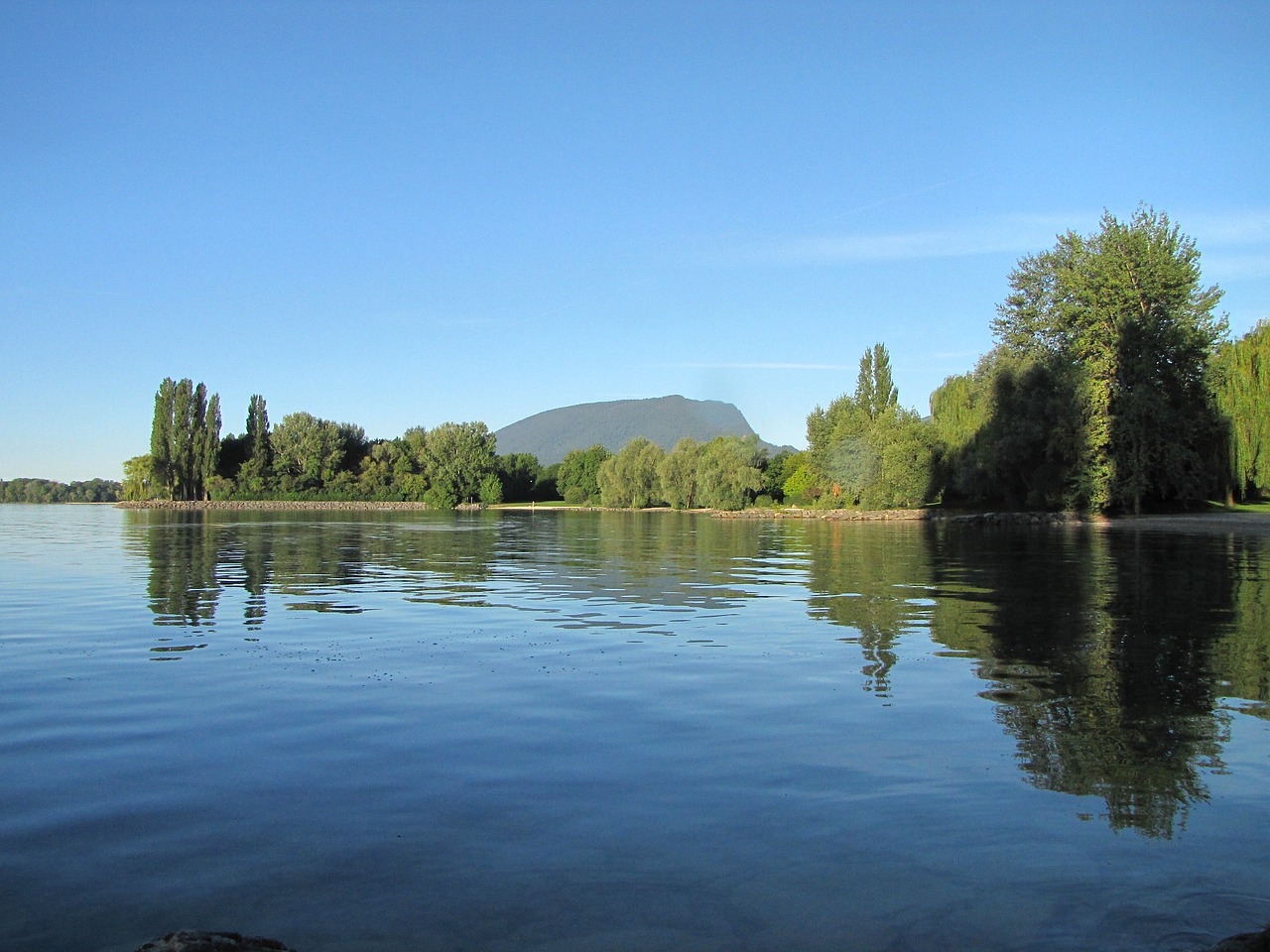 魔祭元最新動(dòng)態(tài)，引領(lǐng)前沿探索，鑄就未來(lái)引領(lǐng)者
