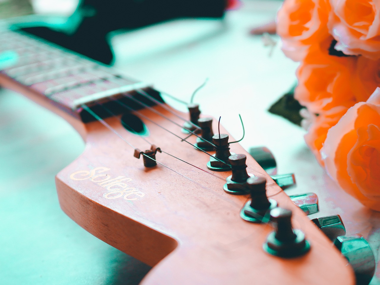 辛花路放最新動態揭秘,音樂與藝術的融合之旅探索