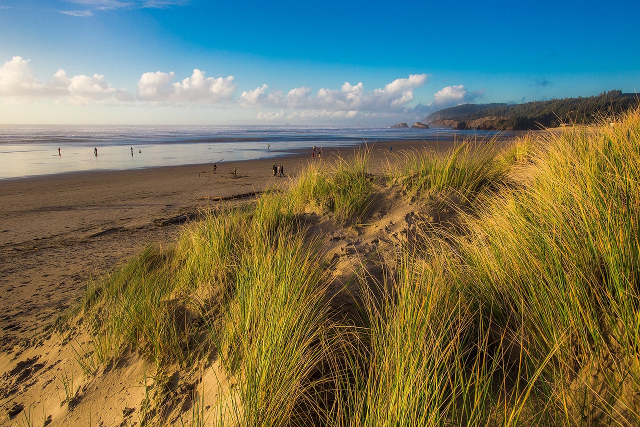 蘭書居最新動態及特色概述