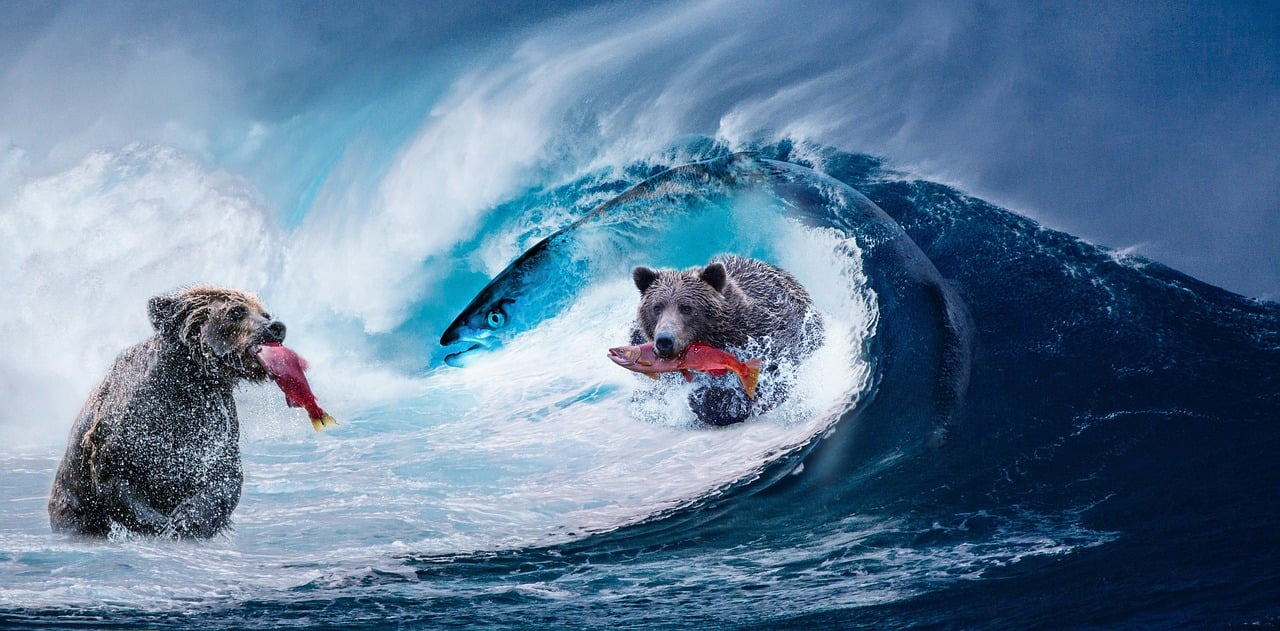 最新治愈系圖片，溫暖心靈的力量之美