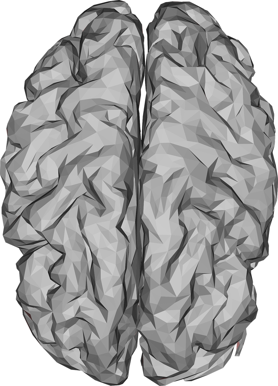 阜陽最新醫(yī)情概覽，最新醫(yī)療動態(tài)與進展速遞