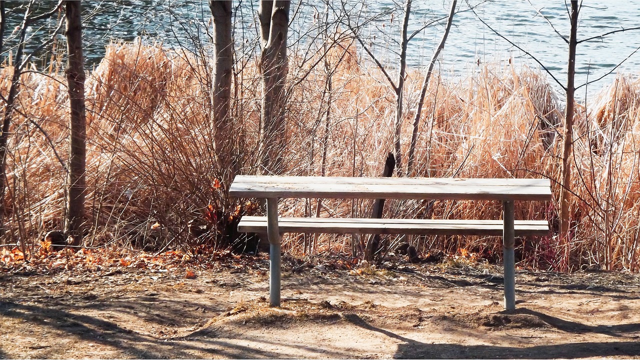 鄭爽跨界展現(xiàn)多元魅力,最新工作動態(tài)及多元發(fā)展之路