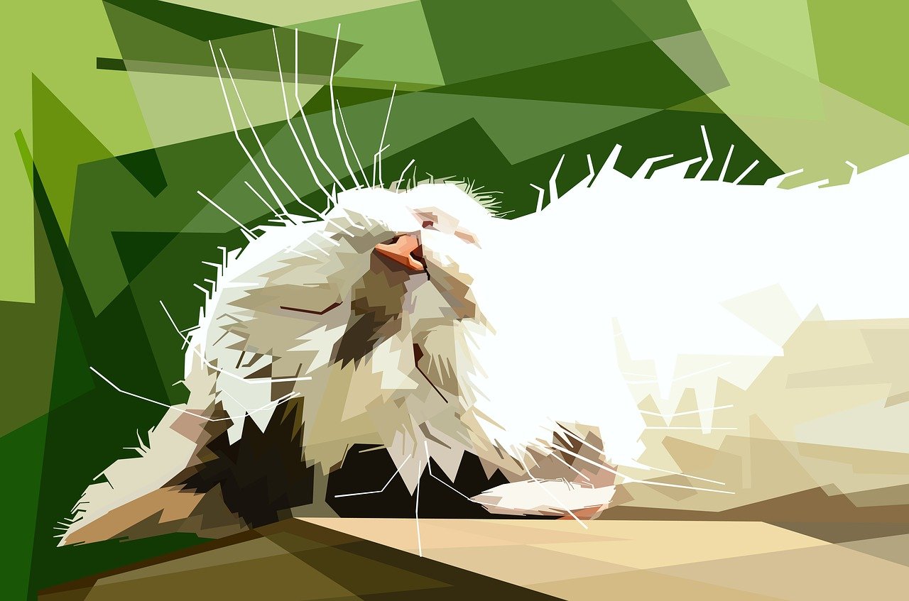 貓和老鼠最新頭像，時尚潮流與經(jīng)典故事的完美融合