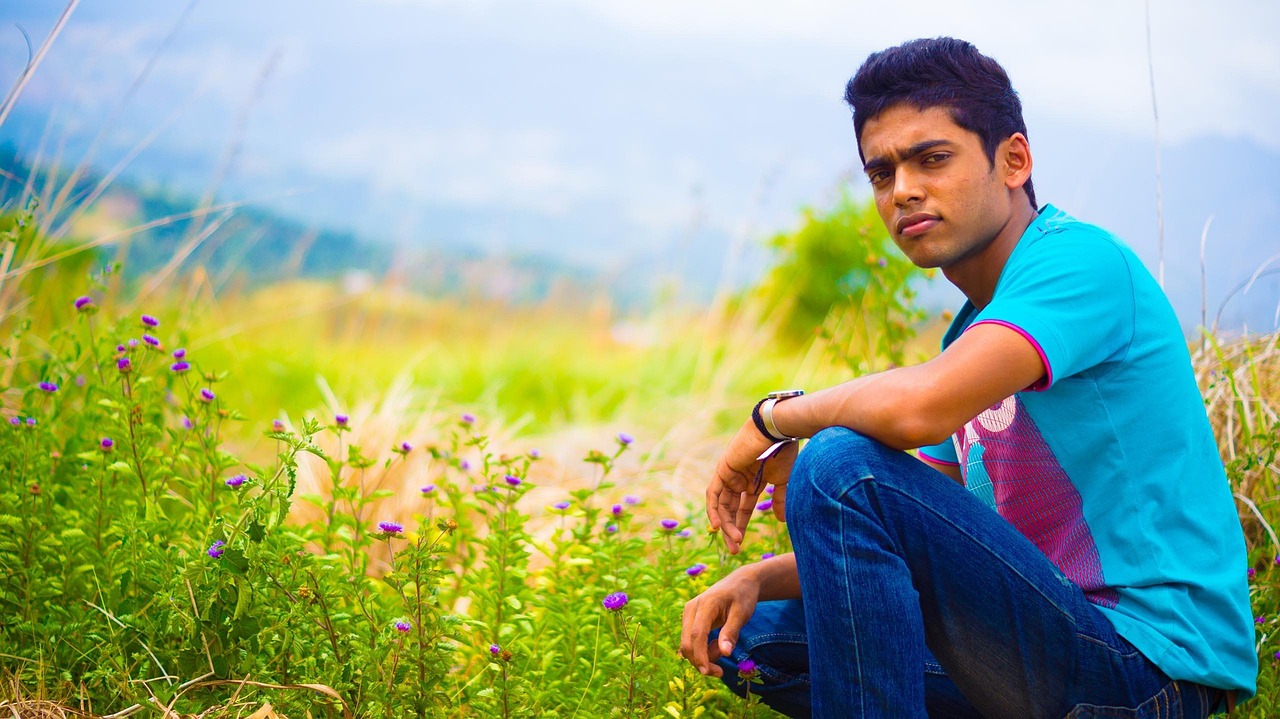 大儀蒼蠅最新動態揭秘,生態、影響及防治策略探究