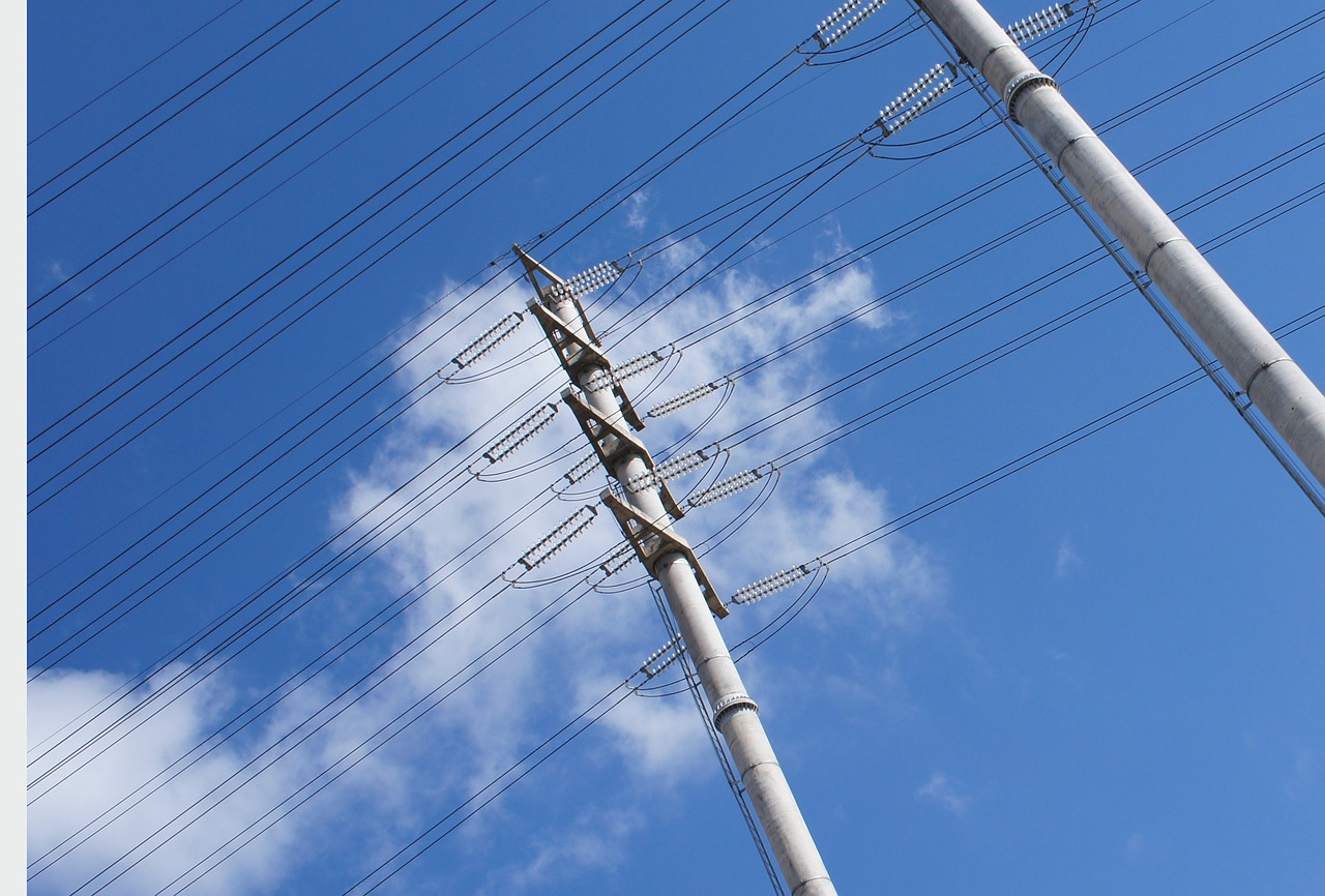 溫州最新管控動態(tài)，城市管理的創(chuàng)新與實踐探索