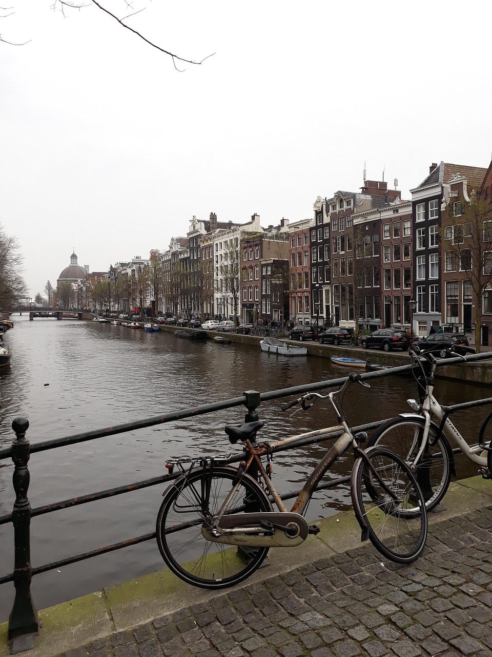 府河回遷最新動態(tài),生態(tài)修復與城市發(fā)展的和諧共贏之路