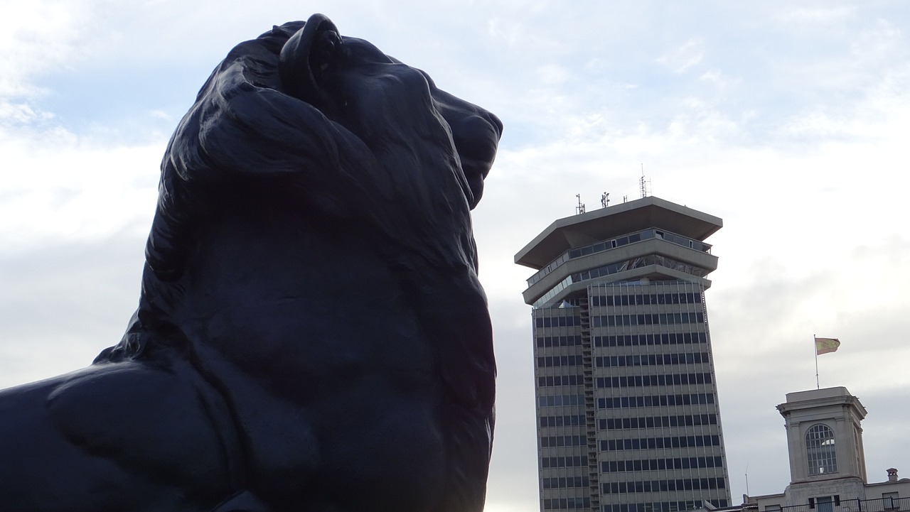 大連最新動態，城市新動向與發展亮點揭秘