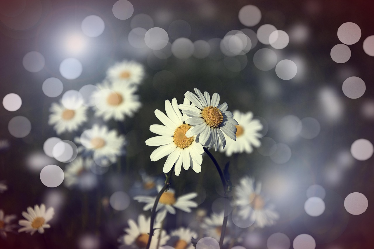 最新救人感人瞬間,生命之光閃耀的時刻