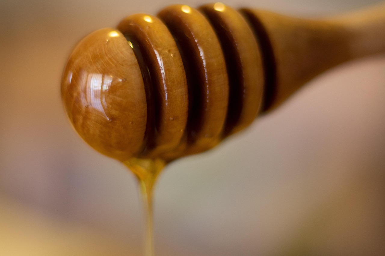 手游LOL新版本揭秘，最新動態(tài)、新英雄與極致體驗