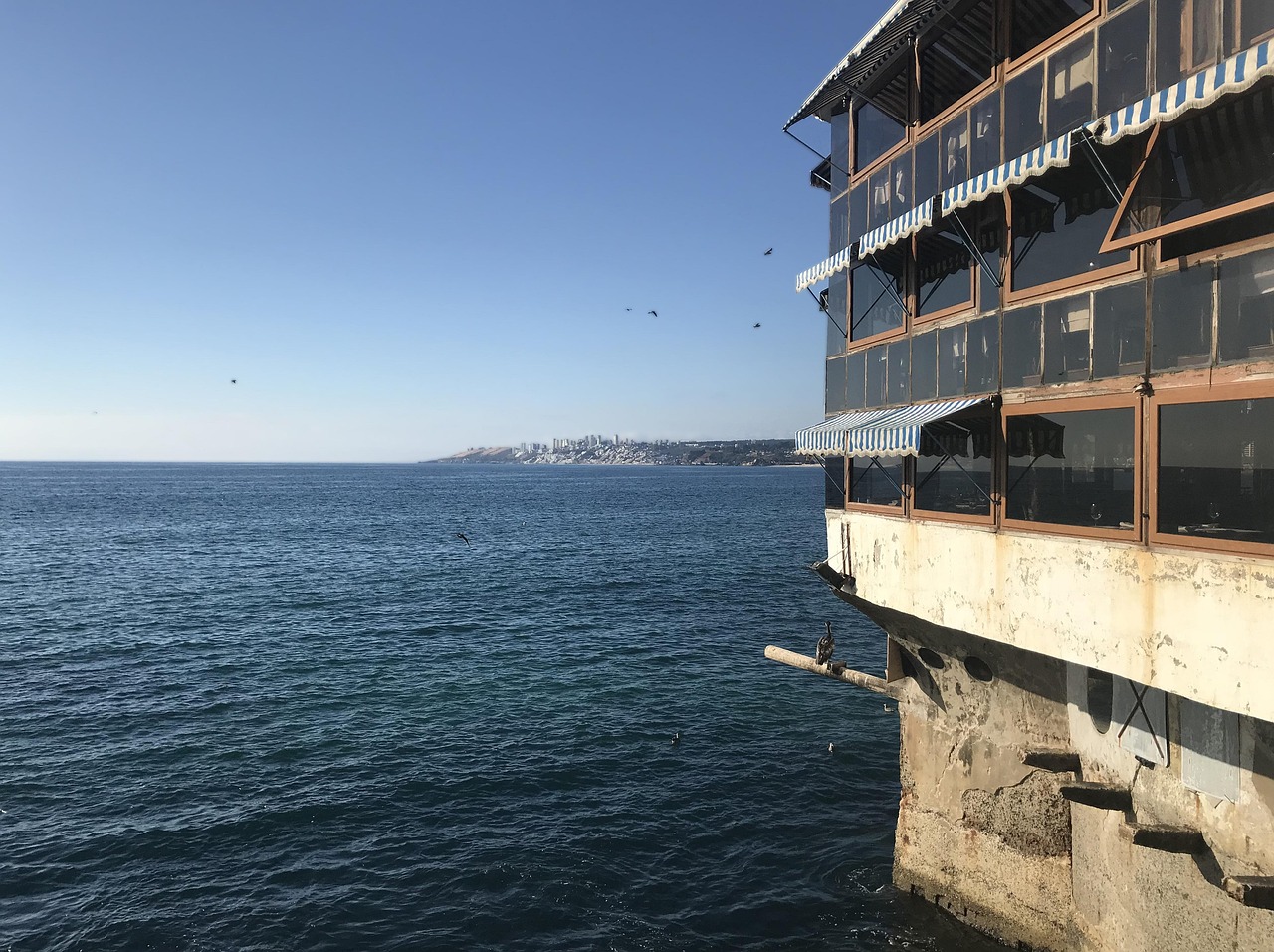 派比小說最新動態及深度解讀速遞