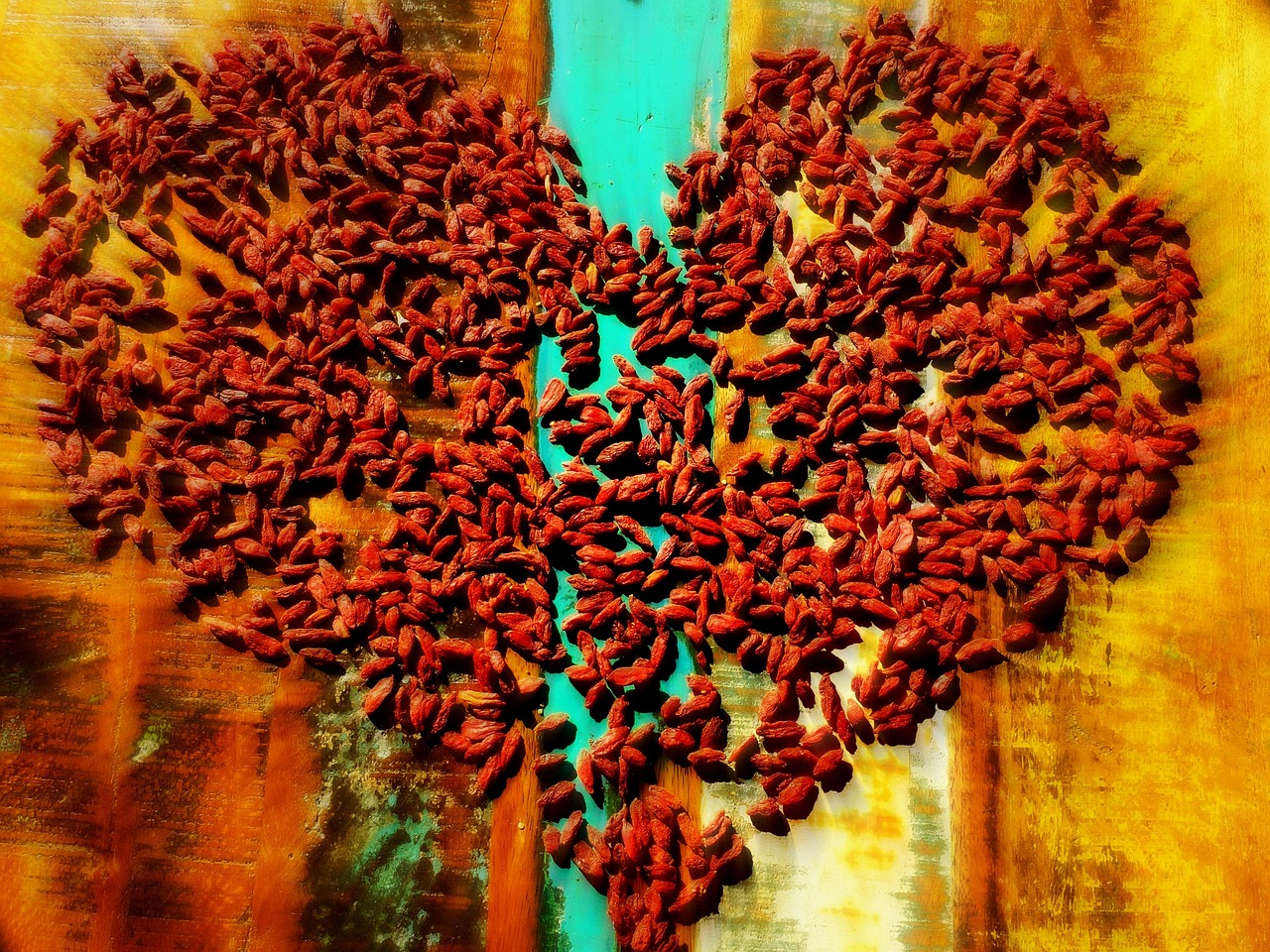 融愛最新動態，重塑愛的力量與社會責任，傳遞溫暖與責任