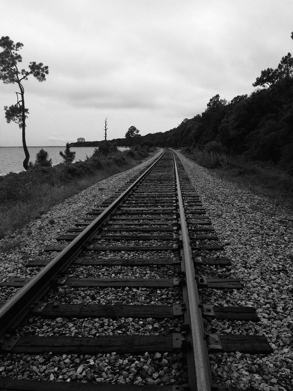 最新廣沒情,探索與反思之路