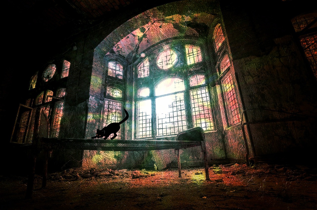 探尋神秘世界的奇幻之旅，異妖志最新篇章