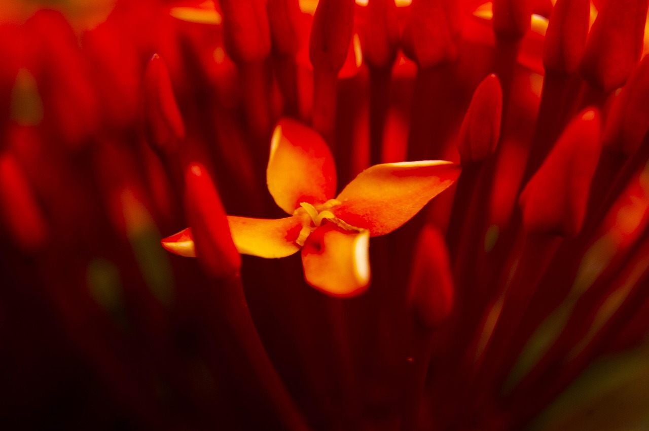 早安祝福最新美圖，開啟美好一天的溫馨寄語與祝福