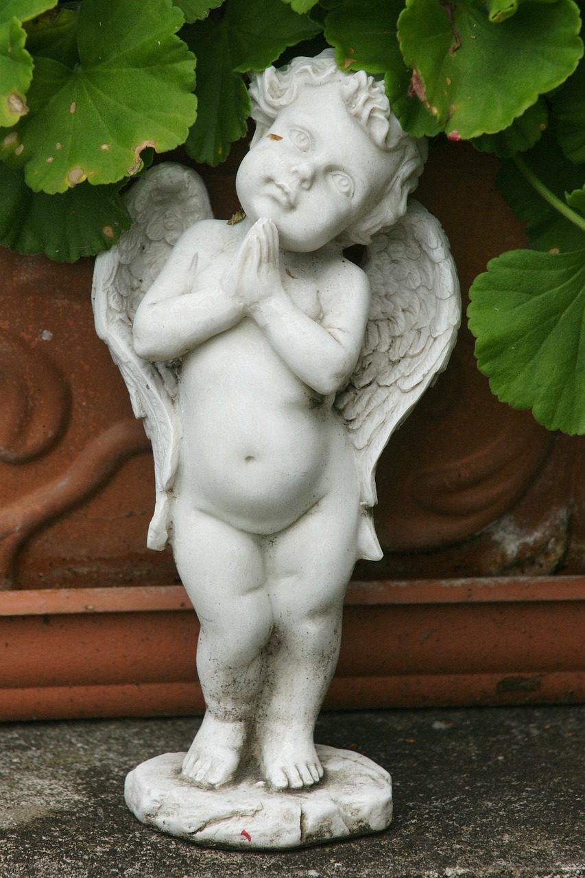 大樂透曬票最新動(dòng)態(tài)，揭示彩票背后的故事與期待