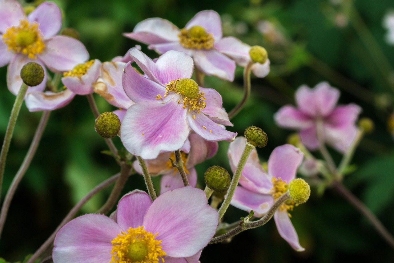 湖人交易最新動(dòng)態(tài)，重塑王朝，蓄勢待發(fā)啟航新征程