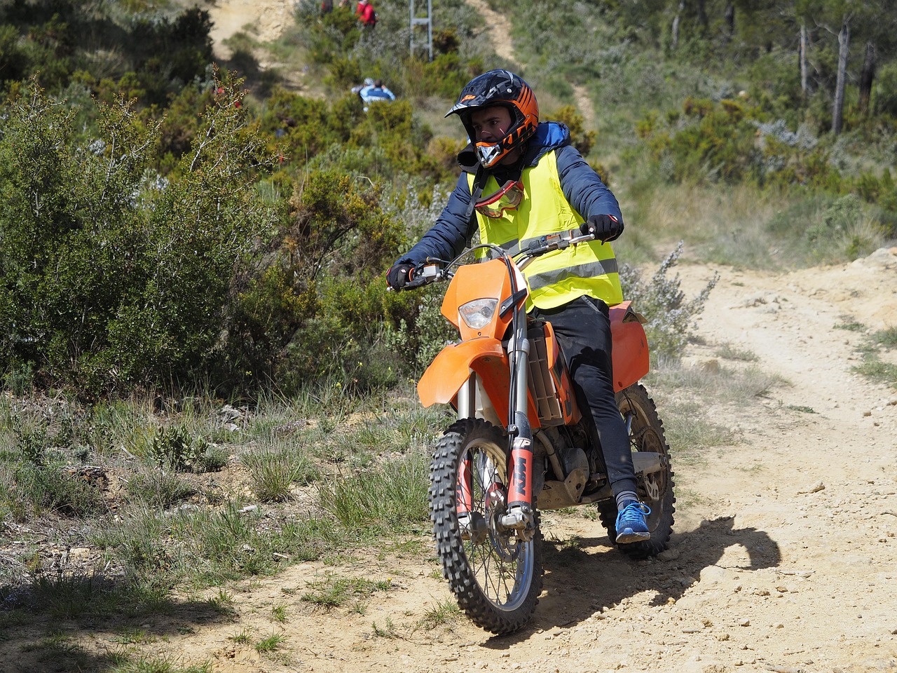 最新臺風(fēng)路徑動態(tài)分析與預(yù)測