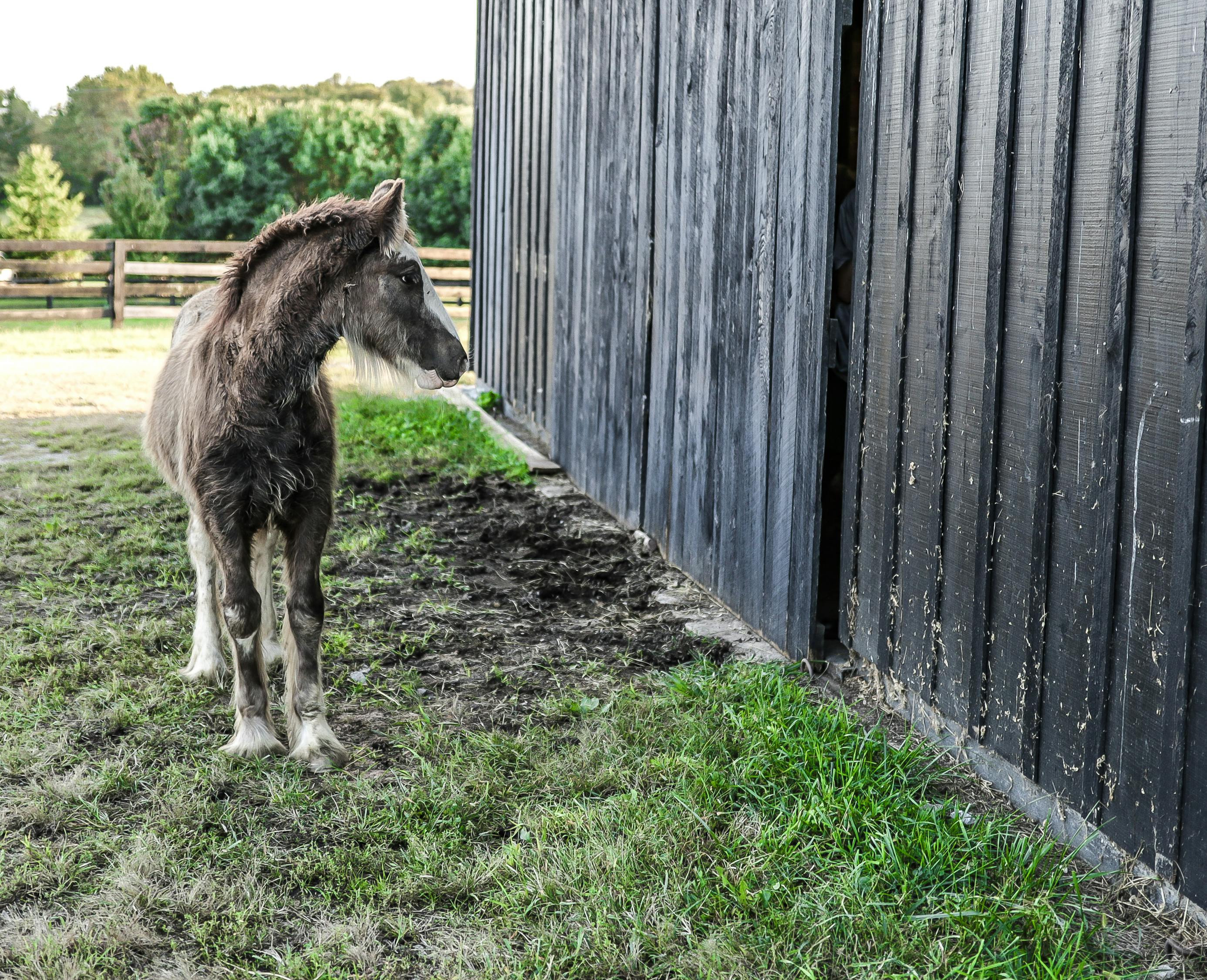 泰劇懷孕最新動態，劇情深度與人物情感的交織展現