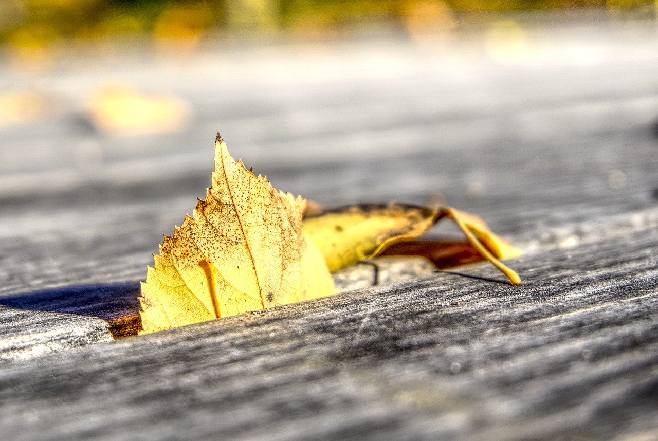 江蘇地區肺炎疫情最新動態分析與更新