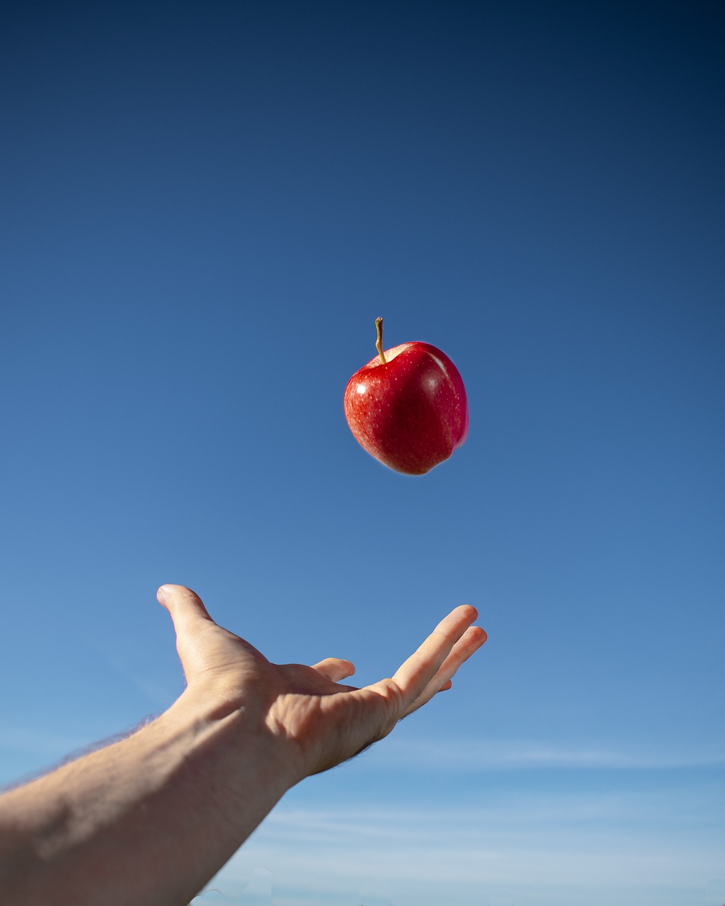 蘋果iPad平板最新動態，創新科技與娛樂的巔峰融合