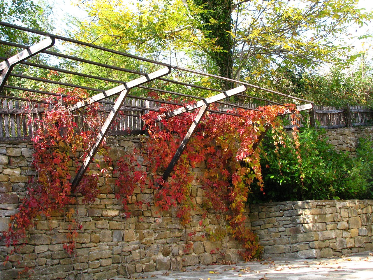 健康路夜市最新動態，繁華再現，活力四溢的夜晚