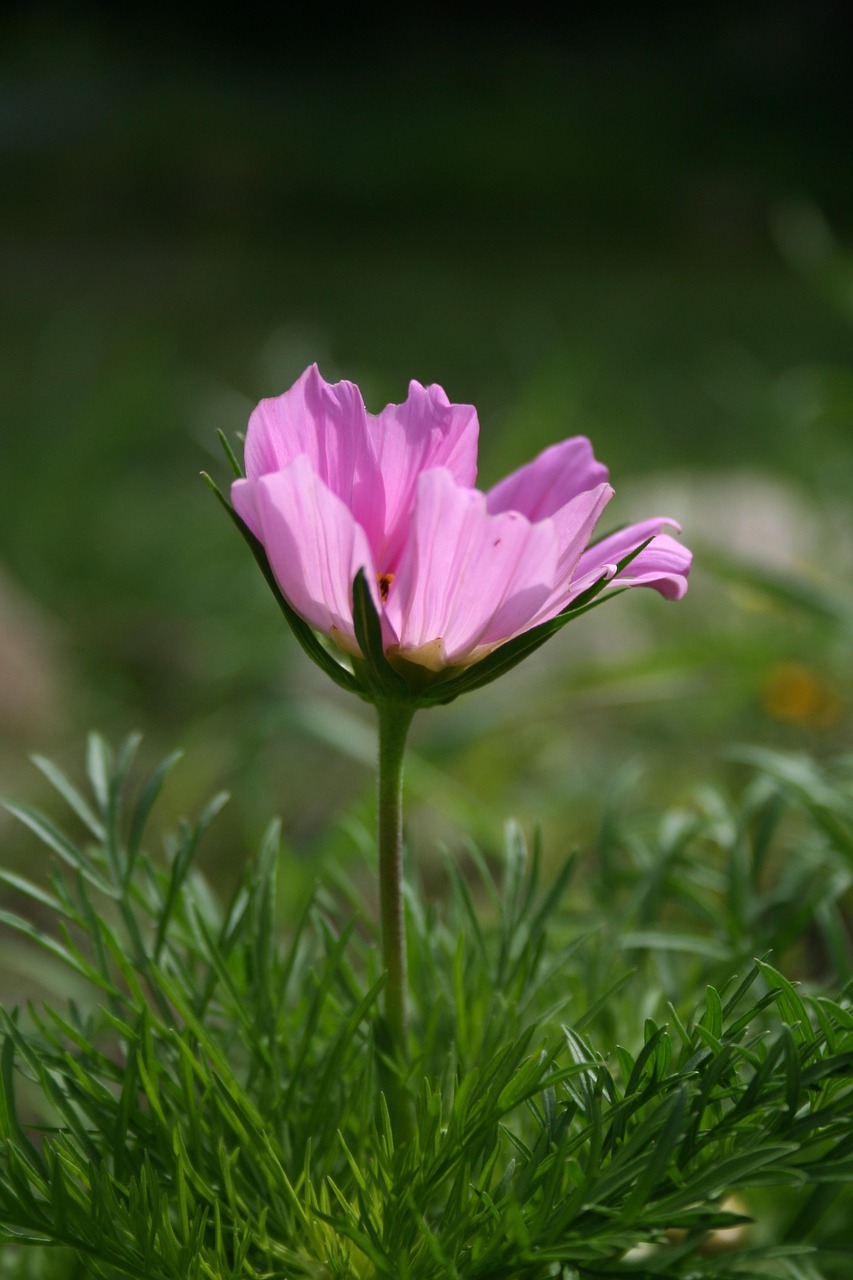 黑洞最新動態揭秘，宇宙未知領域的突破性進展探索