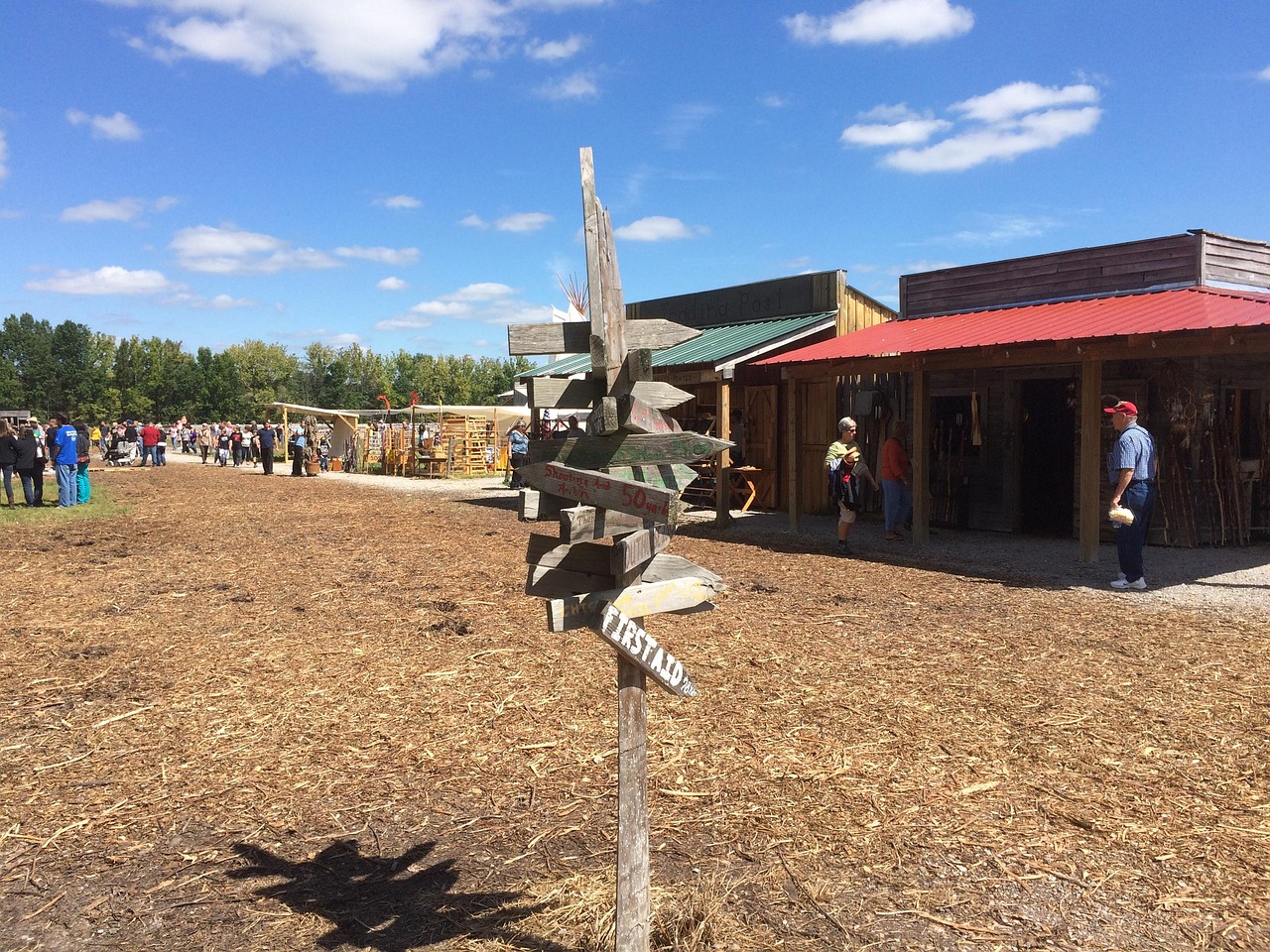 南山公園煥發新活力,展現最新風貌動態