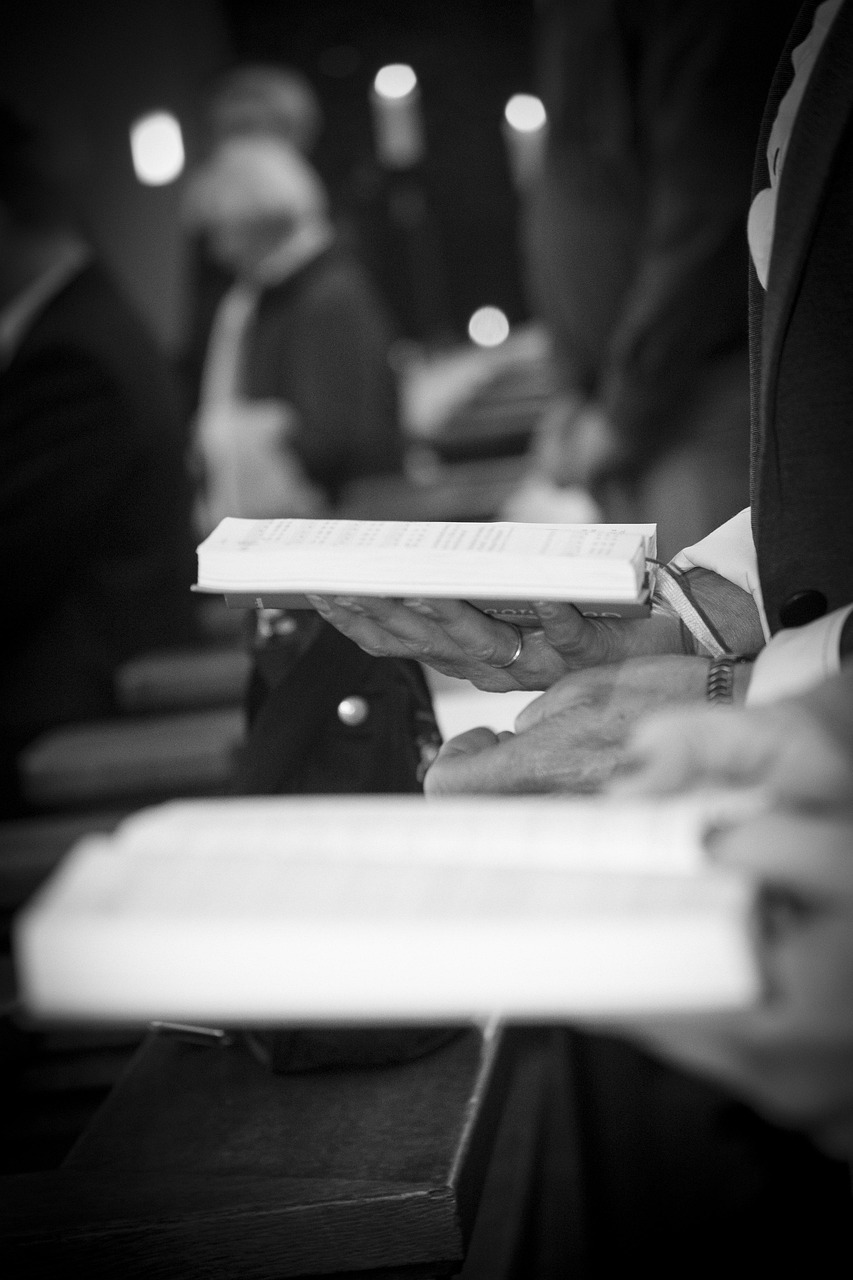 閑魚圖書最新動態，探索二手書市場全新面貌的發展